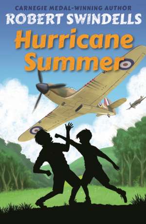 Hurricane Summer de Robert Swindells