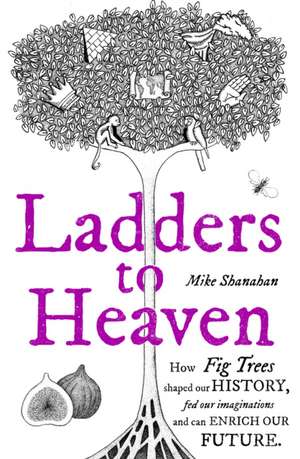 Ladders to Heaven de Mike Shanahan