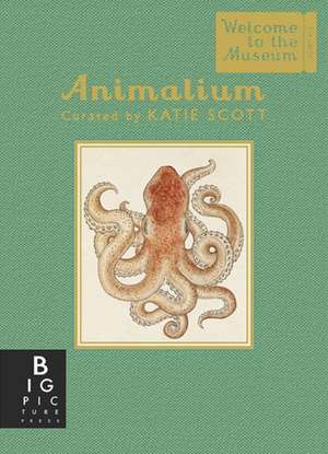 Animalium (Mini Gift Edition) de Jenny Broom