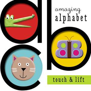 Amazing Alphabet de Annie Simpson