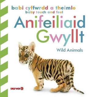 Babi Cyffwrdd a Theimlo: Anifeiliaid Gwyllt / Baby Touch and Feel: Wild Animals de Dk