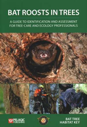 Bat Roosts in Trees de Bat Tree Habitat Key