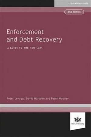 Enforcement and Debt Recovery de Peter Levaggi