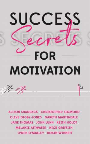 Success Secrets for Motivation de Mindy Gibbins-Klein