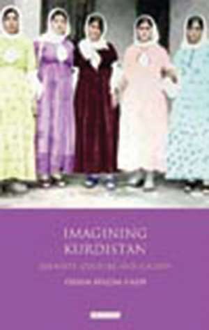 Imagining Kurdistan: Identity, Culture and Society de Özlem Belçim Galip