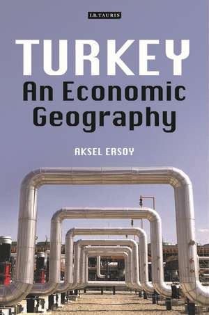 Turkey: An Economic Geography de Aksel Ersoy