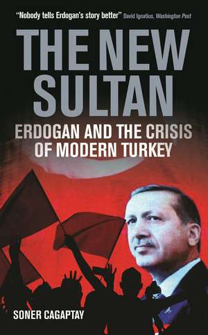 The New Sultan: Erdogan and the Crisis of Modern Turkey de Soner Cagaptay