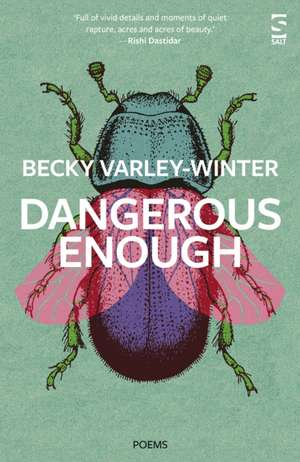 Dangerous Enough de Becky Varley-Winter