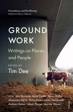 Ground Work de Tim Dee