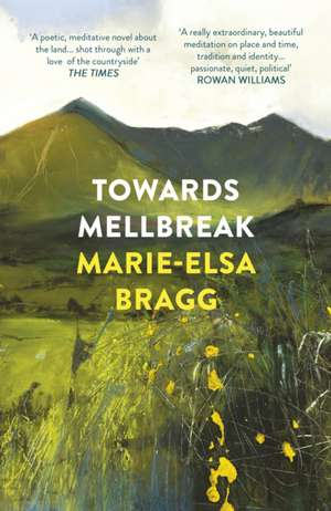 Towards Mellbreak de Marie-Elsa Bragg