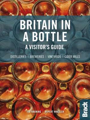 Britain in a Bottle de Ted Bruning