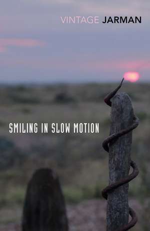 Smiling in Slow Motion de Derek Jarman