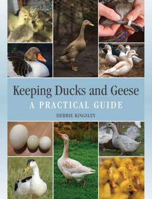 Keeping Ducks and Geese de Debbie Kingsley