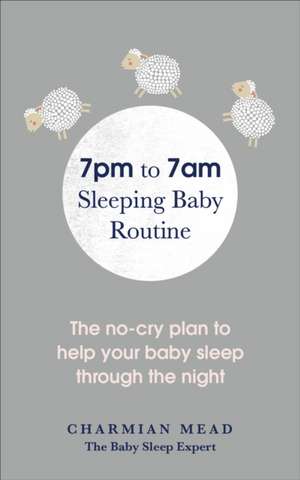 7pm to 7am Sleeping Baby Routine de Charmian Mead