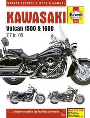 Kawasaki Vulcan 1500 & 1600 (87–08) de Haynes