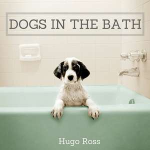 DOGS IN THE BATH de Hugo Ross