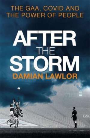 After the Storm de Damian Lawlor