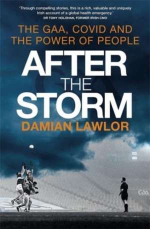 After the Storm de Damian Lawlor