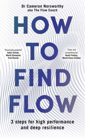 How to Find Flow de Cameron Norsworthy