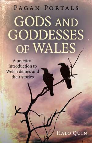 Pagan Portals – Gods and Goddesses of Wales – A practical introduction to Welsh deities and their stories de Halo Quin