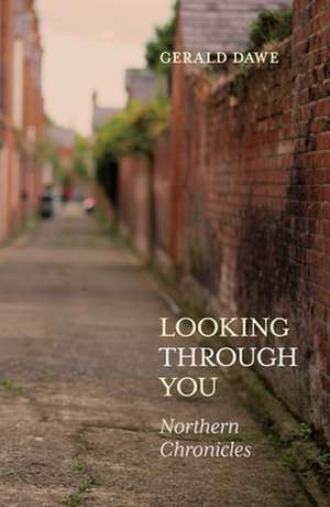 Looking Through You de Gerald Dawe