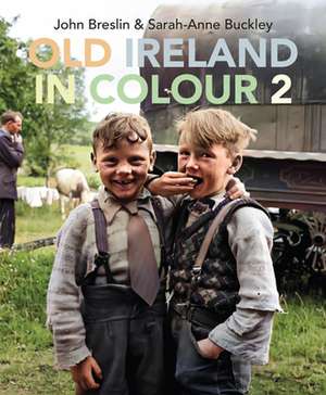 Old Ireland in Colour 2 de John Breslin