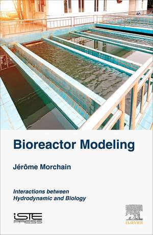 Bioreactor Modeling: Interactions between Hydrodynamics and Biology de Jerome Morchain