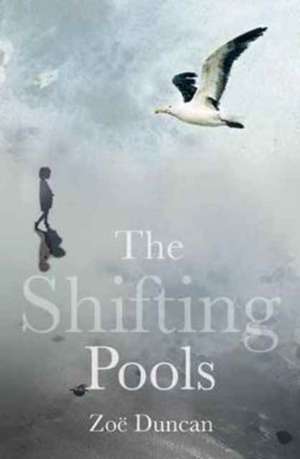 The Shifting Pools de Duncan Zoë