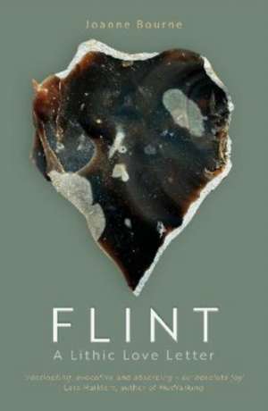 Flint de Joanne Bourne