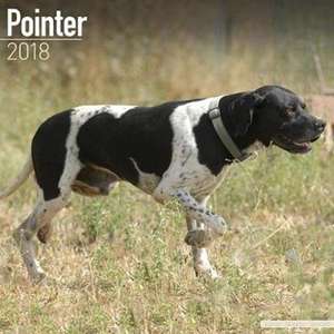 Pointer Calendar 2018 de Avonside Publishing Ltd.