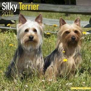 Silky Terrier 2018 de Avonside Publishing Ltd.