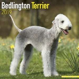 Bedlington Terrier Calendar 2019 de Avonside Publishing Ltd