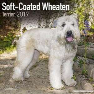 Avonside Publishing Ltd: Soft Coated Wheaten Terrier Calenda