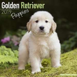 Golden Retriever Puppies Calendar 2019 de Avonside Publishing Ltd