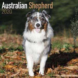 Australian Shepherd Calendar 2020 de Avonside Publishing Ltd