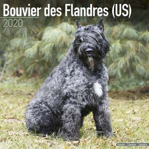 Bouvier des Flandres (US) Calendar 2020 de Avonside Publishing Ltd