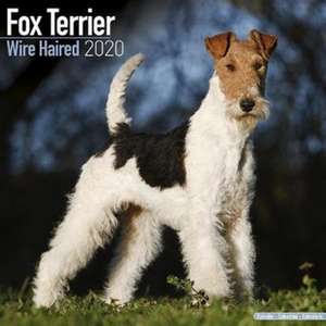 Fox Terrier Wire Haired Calendar 2020 de Avonside Publishing Ltd