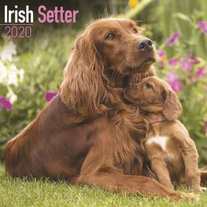 Irish Setter Calendar 2020 de Avonside Publishing Ltd