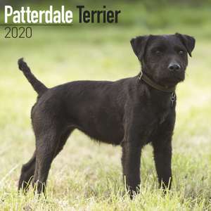 PATTERDALE TERRIERS W 2020 de Avonside Publishing Ltd