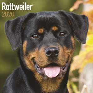 Rottweiler Calendar 2020 de Avonside Publishing Ltd