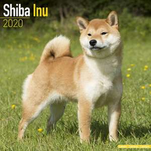 Shiba Inu Calendar 2020 de Avonside Publishing Ltd