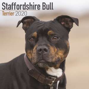 Staffordshire Bull Terrier Calendar 2020 de Avonside Publishing Ltd