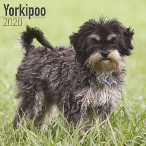 Yorkipoo Calendar 2020 de Avonside Publishing Ltd