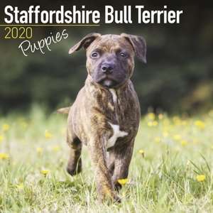 Staffordshire Bull Terrier Puppies Calendar 2020 de Avonside Publishing Ltd