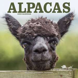 Alpacas - Alpakas 2020 de AVONSIDE PUBLISHING