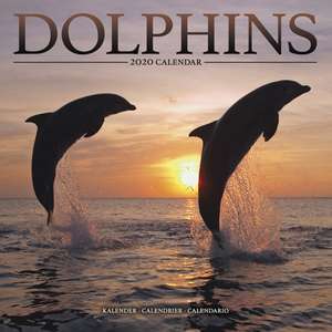 Dolphins Calendar 2020 de Avonside Publishing Ltd