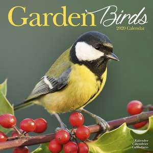 Garden Birds Calendar 2020 de Avonside Publishing Ltd