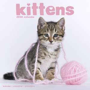 Kittens Calendar 2020 de Avonside Publishing Ltd