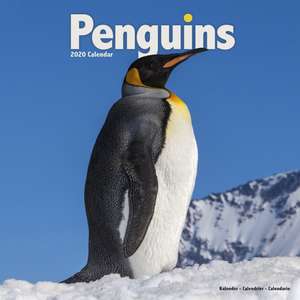 Penguins Calendar 2020 de Avonside Publishing Ltd