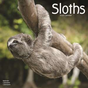 Sloths Calendar 2020 de Avonside Publishing Ltd